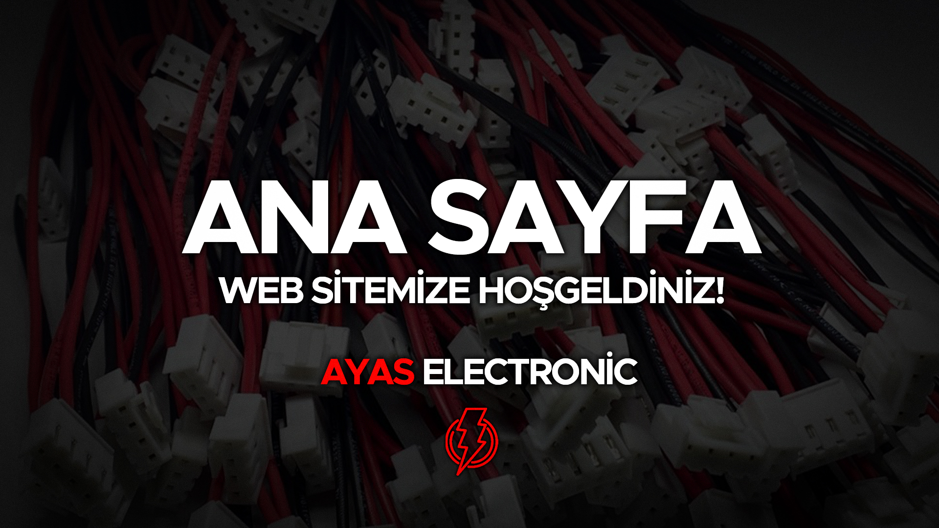 AnaSayfa